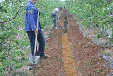 果园土壤改良基本措施