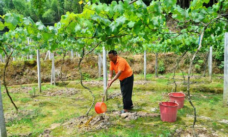 土壤、腐殖酸、微生物三者关系“妙不可言”，环环相扣，缺一不可