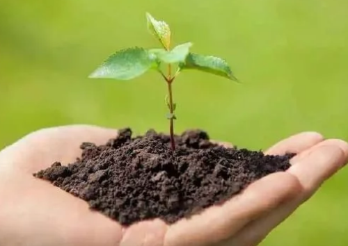 种植户，你关心过土壤的中微量元素吗？用好的话，会帮你赚钱