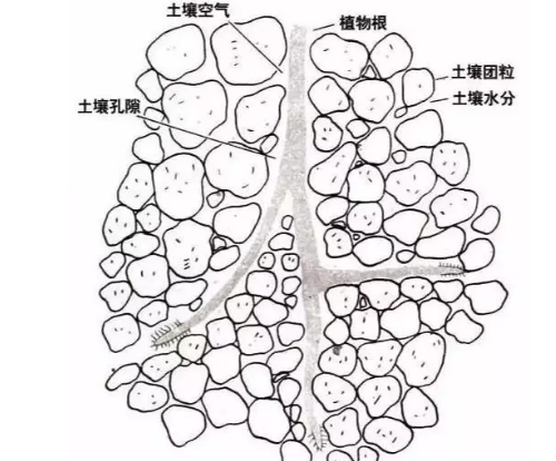 土壤里面学问大，搞不清楚瞎种地！