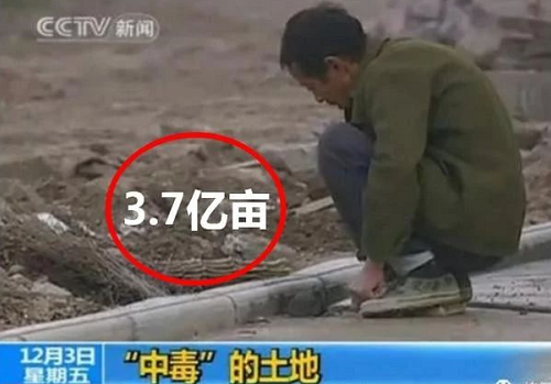 震感！约3.7亿亩耕地，需要进行土壤改良