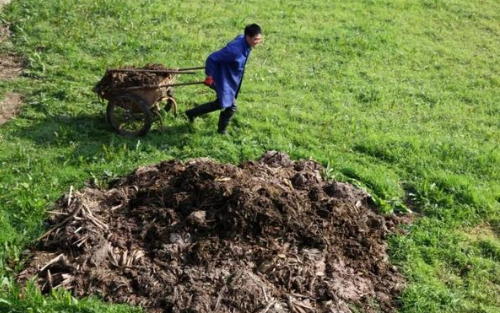 预防土壤板结的4个方法，你觉得哪个最实用？我觉得都实用