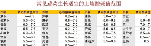 赶紧！土壤已经出大毛病了赶紧！土壤已经出大毛病了