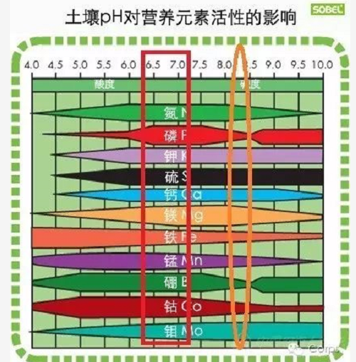 土壤的三大“杀手”！直接影响肥效和作物生长，90%的人都不知道！