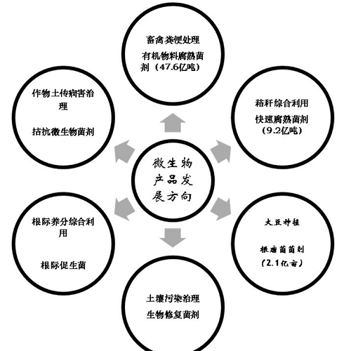 微生物肥的前景何在？！