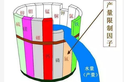 告急！我国一半的土壤缺中微量元素！别再只上氮磷钾了！