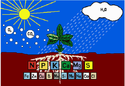 告急！我国一半的土壤缺中微量元素！别再只上氮磷钾了！