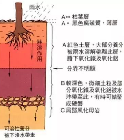 最基本的土壤知识（农业人必备）