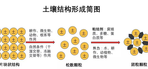 最基本的土壤知识（农业人必备）