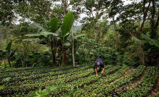 全球目前33％的土壤出现了严重退化！