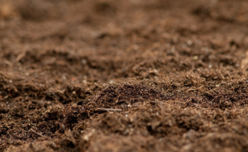 土壤在陆地生态系统中起着哪些作用