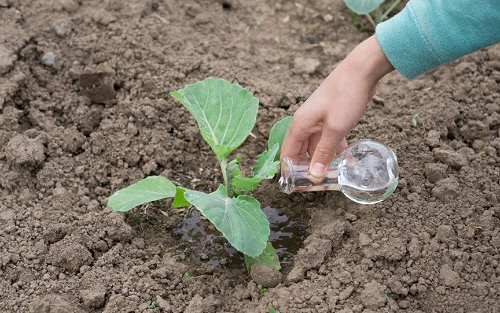 什么是土壤健康？用哪些指标可以表达土壤是否健康？