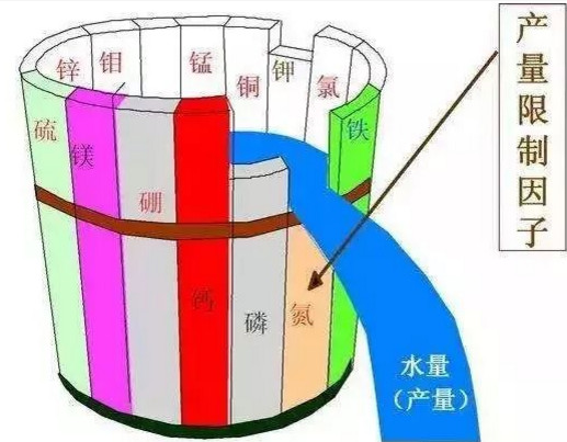 告急！别再只上氮磷钾了！我国一半的土壤都缺“它”！