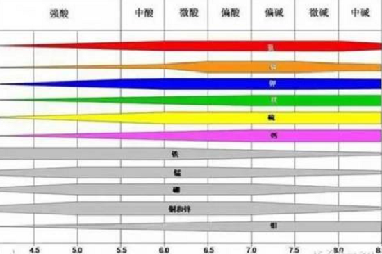 土壤出问题了，肥料用再多也别想增产！