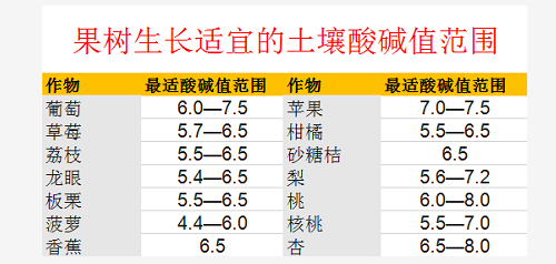 赶紧！你地里的土壤问题真的不能再等了！