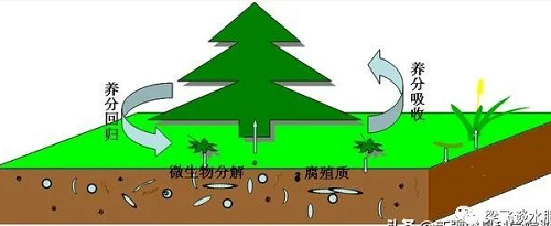 改良土壤要合理施用有机肥，要防止生物污染和有机废弃物污染土壤...