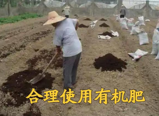 土壤板结，重要的因素是“土壤透气性差”造成的，做好三点即可