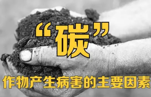 缺“碳”对土壤、作物的危害到底有多大？权威数据告诉你