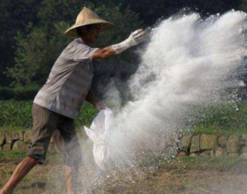 土壤恶化，粮食就危险了！恢复土壤健康，与每一个人有关～