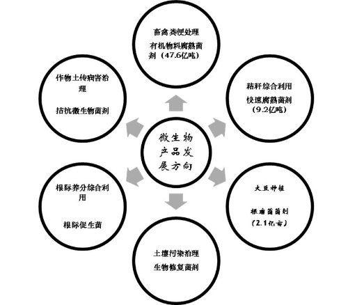 未来我们要迎接一个怎样的微生物肥料时代呢！