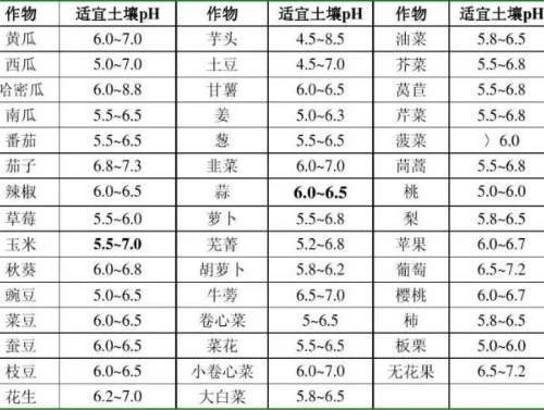 土壤是否健康，考量的指标是什么？