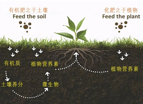 改良土壤，你不做，我也不做，那谁来做？