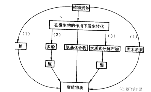 有机肥等不等于土壤有机质呢？