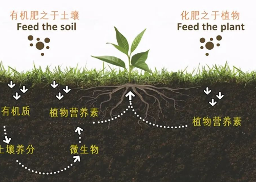 改良土壤，你不做，我也不做，那谁来做？