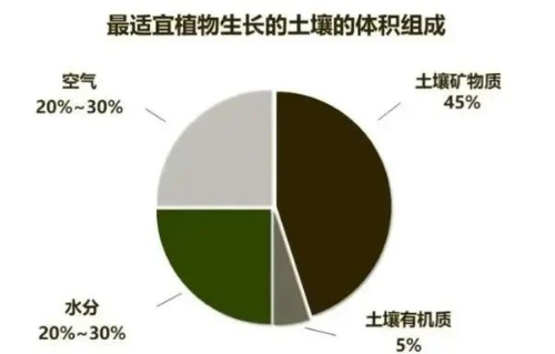 土壤肥力不够怎么办？