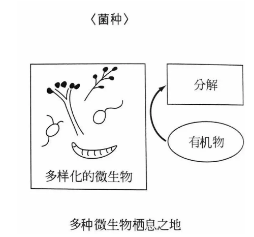 地力与优质土壤