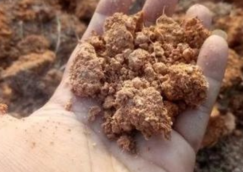 【农业技术】判断土壤肥瘦10个土办法