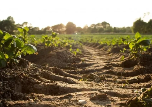 你是否知道土壤是不可再生资源？