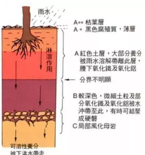 不懂土壤，你用再多肥再多药都是浪费！