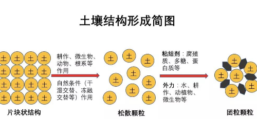 不懂土壤，你用再多肥再多药都是浪费！