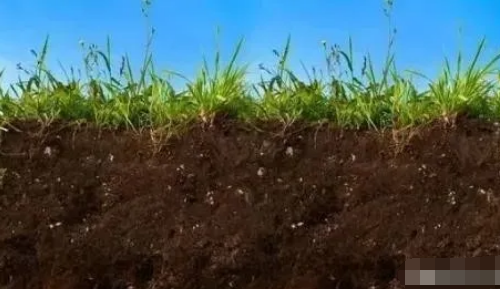 土壤肥力如何辨别？看这里！