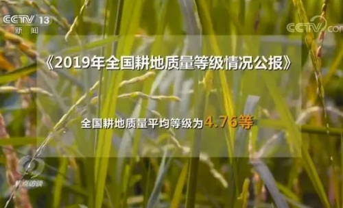 央视《焦点访谈》：我国土壤改良已刻不容缓