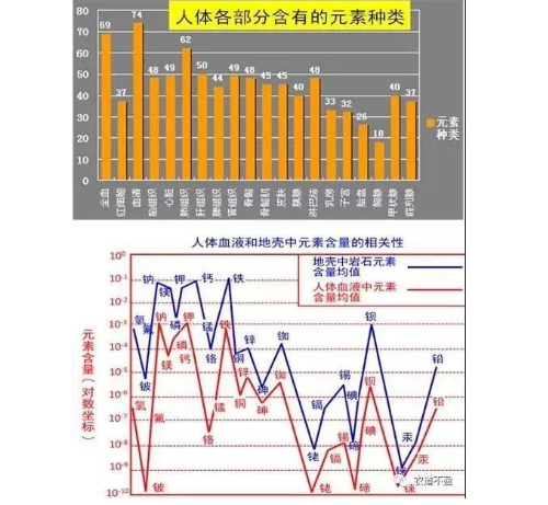 土壤—植物营养—人体健康的关系！