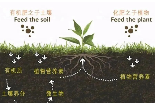 俗话说“一方水土，养一方人”土壤健康与我们的食品安全息息相关