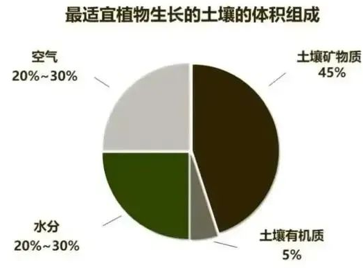 “土壤肥力”到底是什么？提高肥力提高的什么？