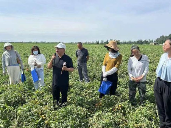 院企科研项目结硕果——成都华宏生物成功解决"番茄列当"世界难题