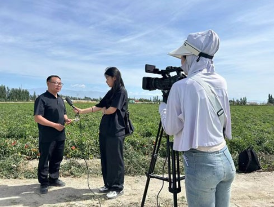 院企科研项目结硕果——成都华宏生物成功解决"番茄列当"世界难题