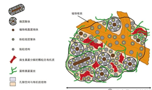 “矿物质—有机质—微生物”相互作用