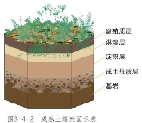 高考地理：土壤剖面、成土因素、土壤养护