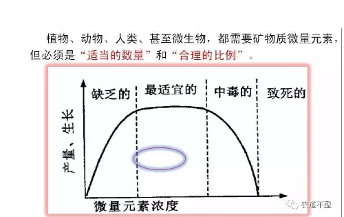 土壤—植物营养—人体健康的关系