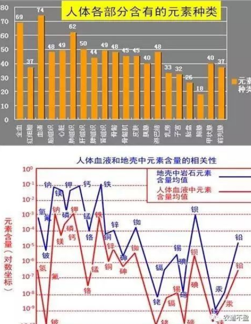 土壤—植物营养—人体健康的关系