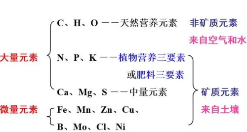 植物必需营养元素之间的关系！