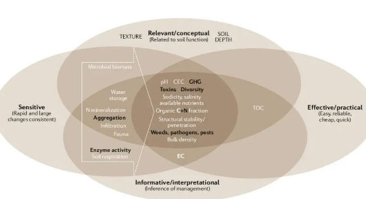土壤健康的概念和未来展望→