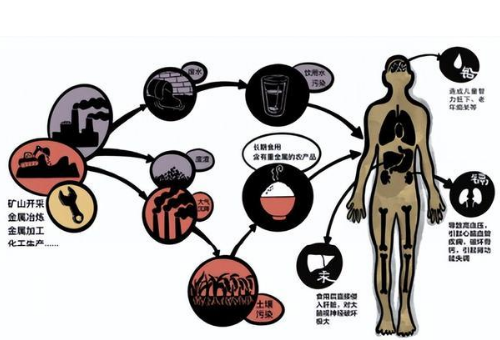 警惕！土壤里居然有重金属！