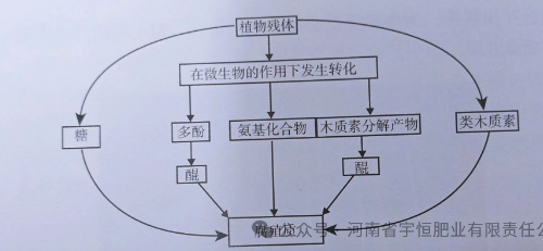 土壤有机质是什么？