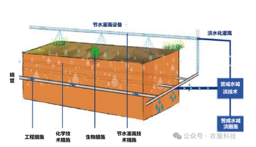 中国盐碱地的两种治理模式→